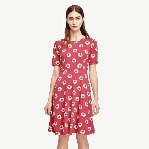 Host Pick ❤️ Ann Taylor Pink Floral Dress - Picture 1 of 5